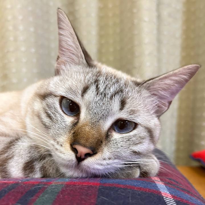 F579bc3f a5d4 43a8 82b7 68caa27de505 1758712533671