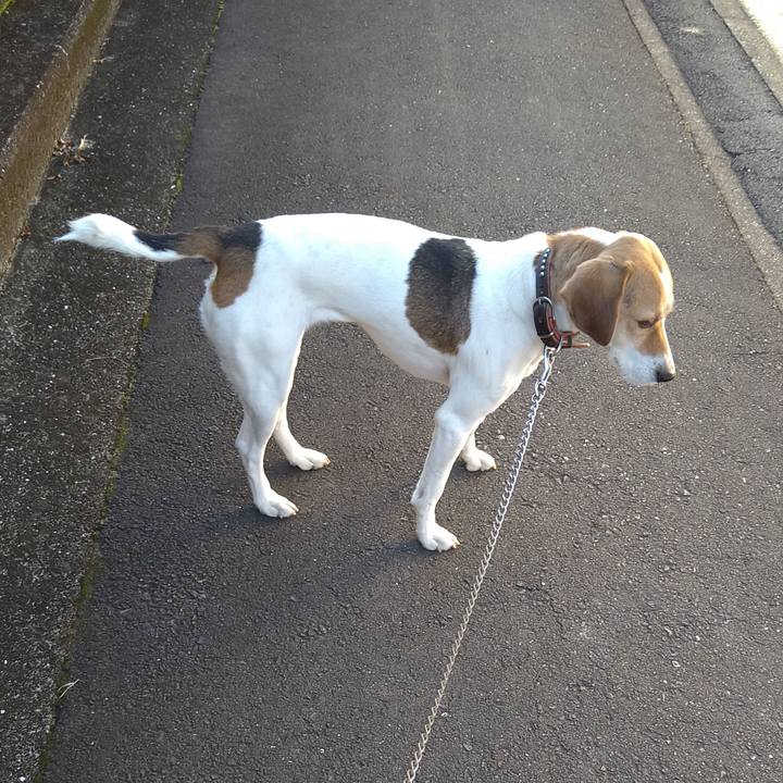 F57a37d7 50a2 42bb a180 0e53487318c3 1639029021607