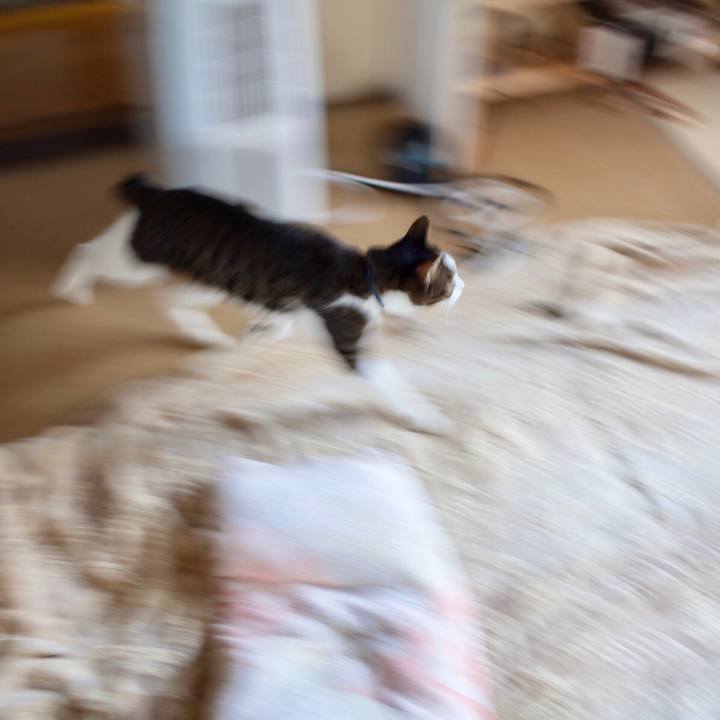 F57a4775 44ff 44cd b98d 4d4fff6e4d6a 1602729372941