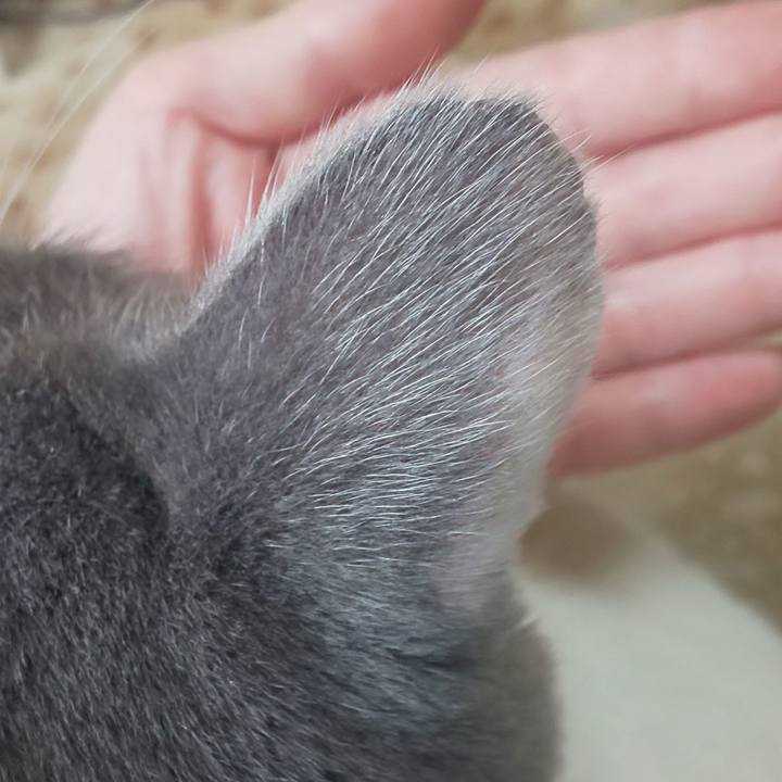 F57a4d4b b94b 4d1a 979c 1d0c6406a841 1666669059211