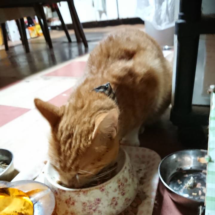 F57a52e5 7990 4969 8f23 6ba04835b708 1569575280406