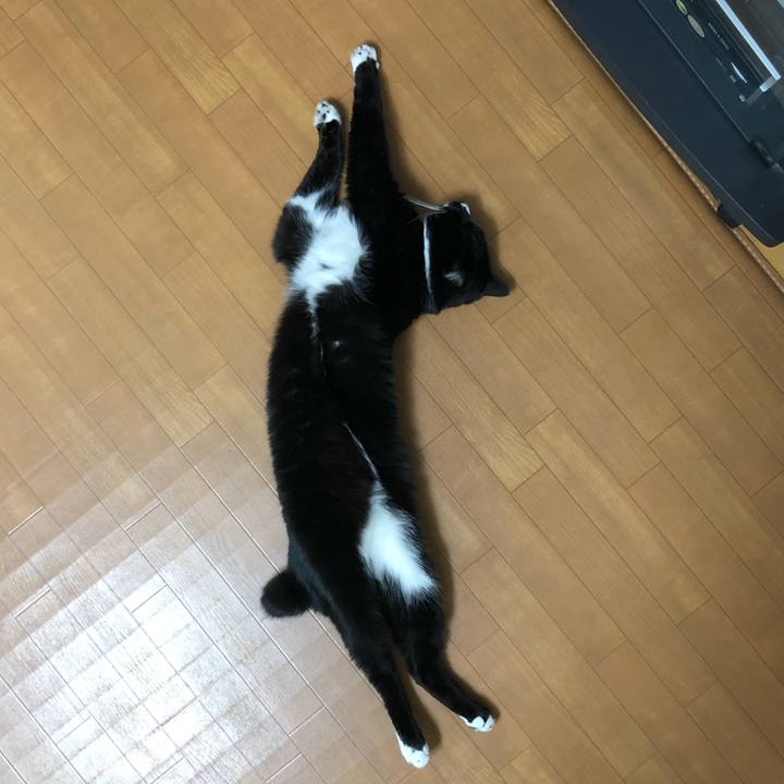 F57a5547 ffa1 4588 aad6 3b12b16f54a6 1616556574147