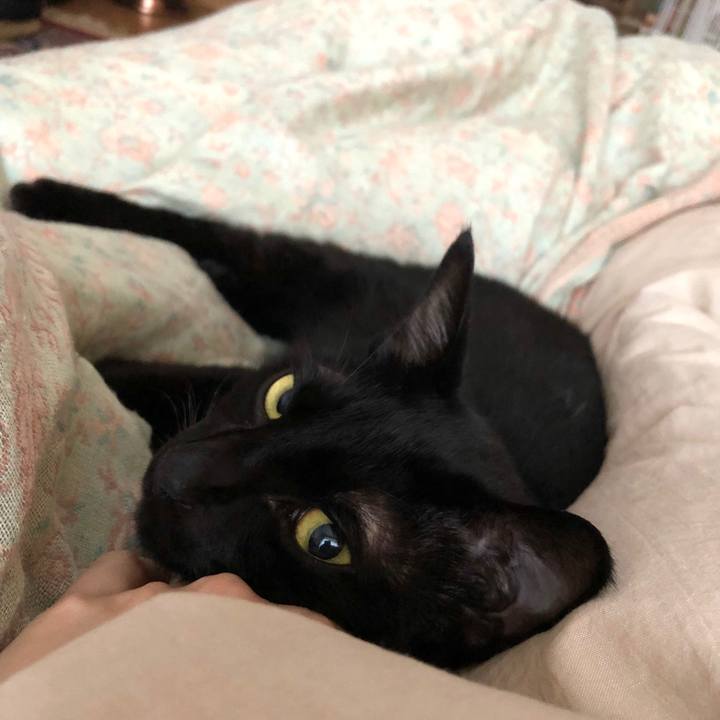 F57a591c 4def 4eee 8e84 17fbf2b40f1b 1539989205483