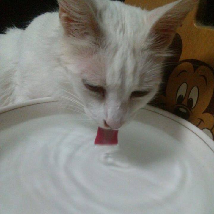 F57a64f0 a7ab 4827 9c0d c7a02a5ff88d 1681130896730