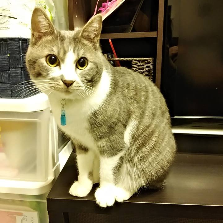 F57a702f fa5f 495b b8a1 db75f946c285 1583423616434