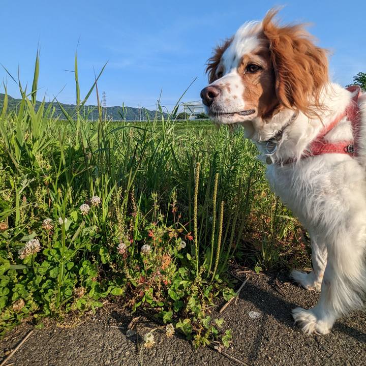 F57a7903 09cf 437e ab4c 805a075b47a0 1683885262859