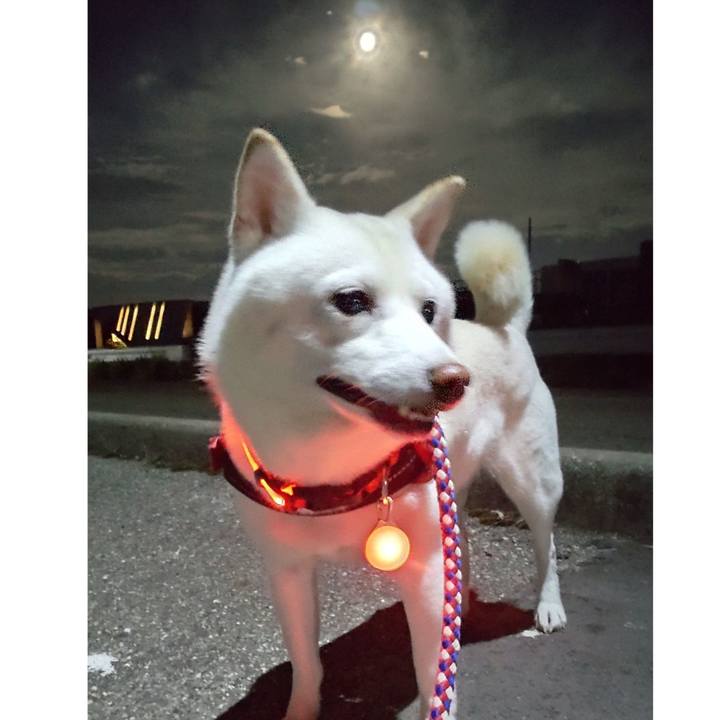 F57a7ba5 bfad 4b02 924c 230b0f0f9b85 1660309409861