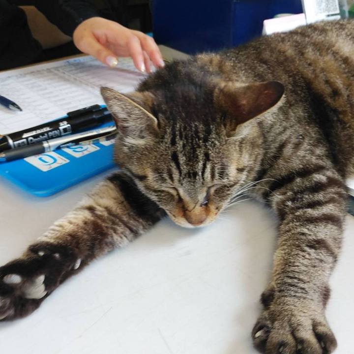 F57a7c45 e6c6 44e8 8069 3eb8bda9653d 1591661543855