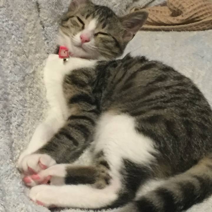 F57a9d3a 8f3d 456e 894c 8c4b90394acc 1661834304770