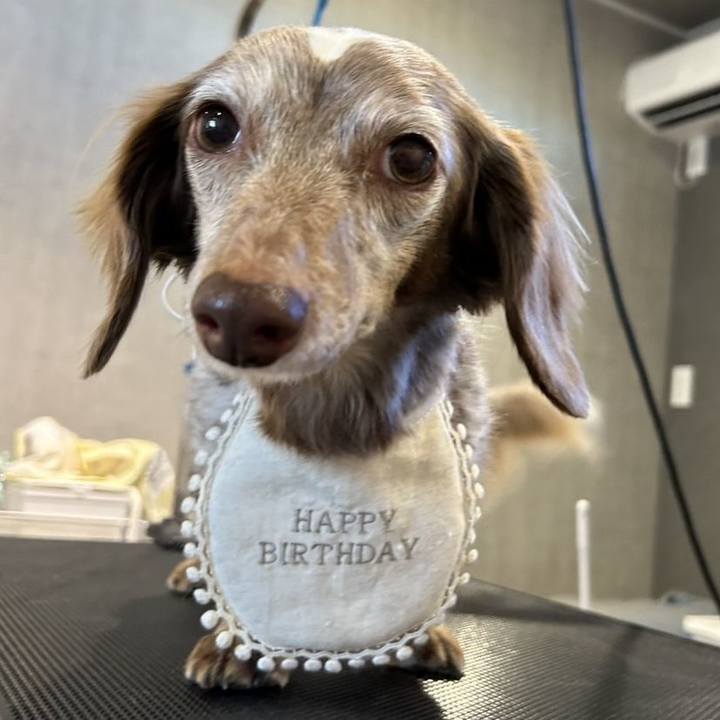 F57aac98 0e45 459c 94bd d3ddd1cc63ff 1766025795705