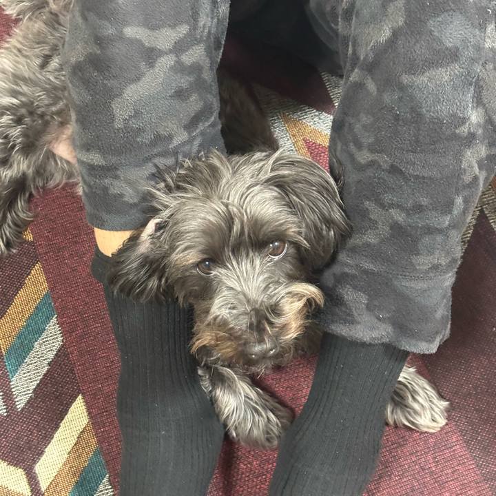 F57ac511 9862 4de8 b1ac 5a25f9baaf4e 1765373442861