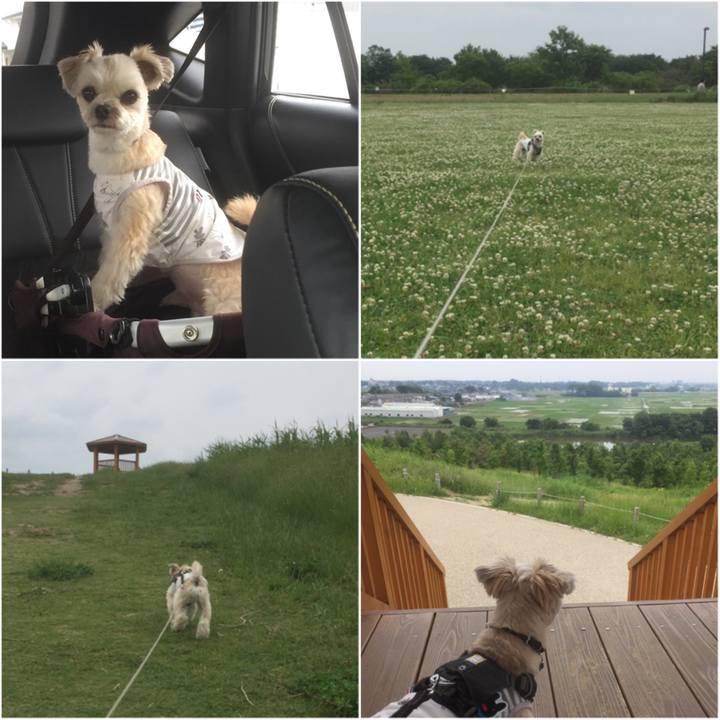 F57ada5e 6210 465c 9b1d 16176bde89ff 1559464405255