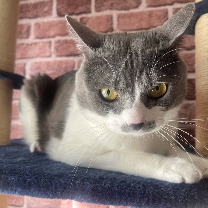 F57b1dee 6019 4ab7 9b60 2c74a065ee62 1644538918712