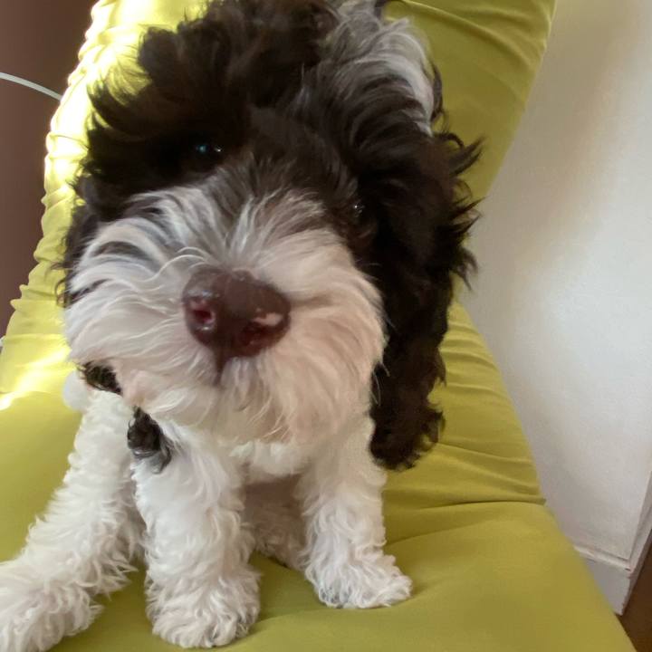 F57b3585 a829 4b03 ac22 3835e2b4d745 1608883688186