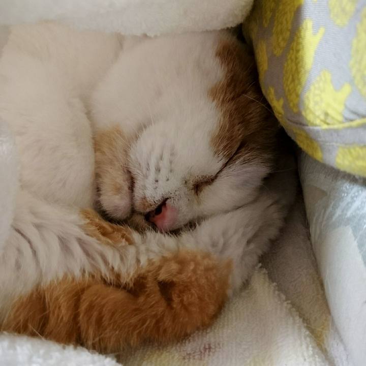 F57b4d4d e110 4215 adca a9b474f97ae9 1553164544758