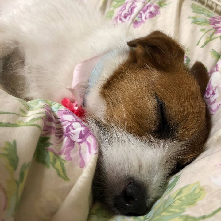 F57b69e6 5c44 4120 9d5a a877c2ae758a 1527338840564