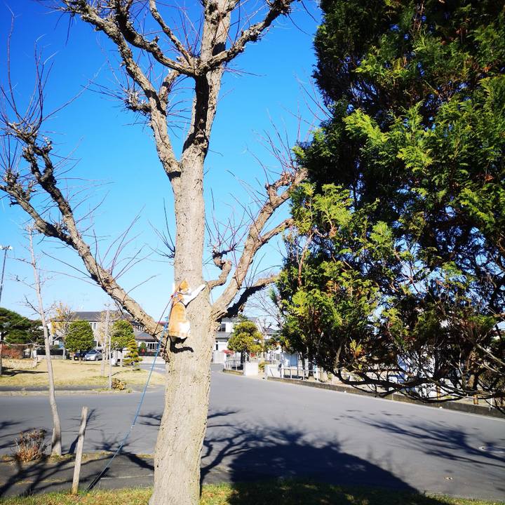 F57b9bd5 b586 4bee 878f fb2acb40aced 1543730527770