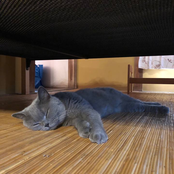 F57ba969 3035 43b0 ac18 98053a8dcef4 1564822360341