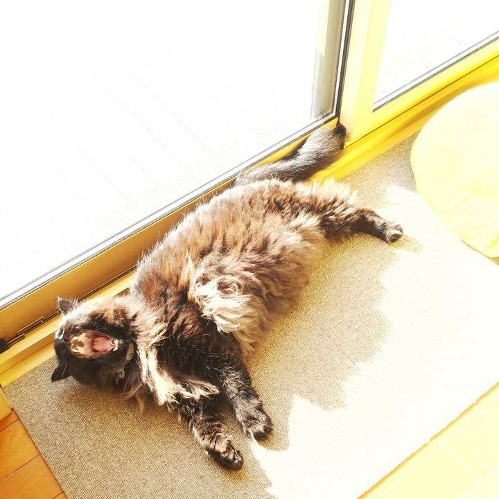 F57c0073 f55e 4996 a441 9dae86adccd5 1515808911125