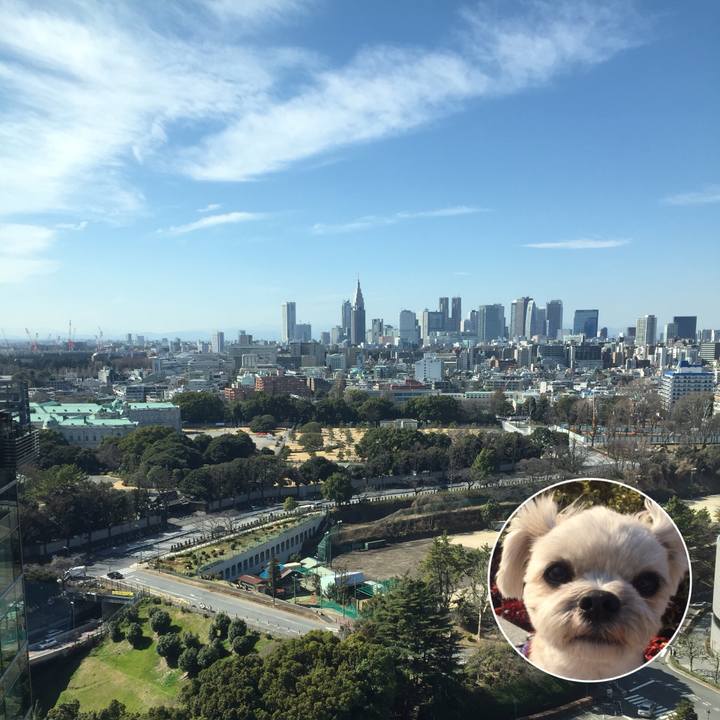 F57c057b 6c49 4baa 8bff 3d9fc71c2f5f 1519977862533