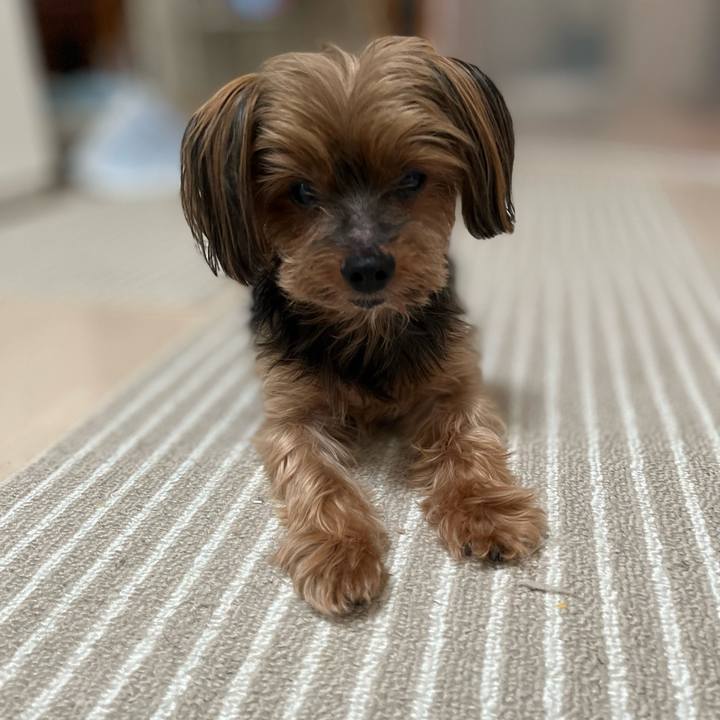 F57c12b9 89a4 49cc 9197 d33431dfa308 1655279735815