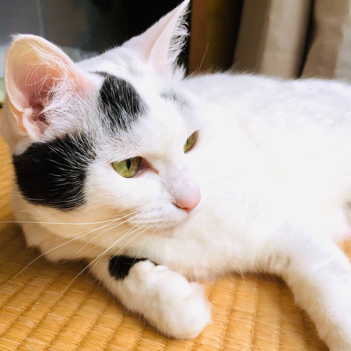 F57c3897 26b6 44de a8fe 88cfa5aecbbe 1561953792253