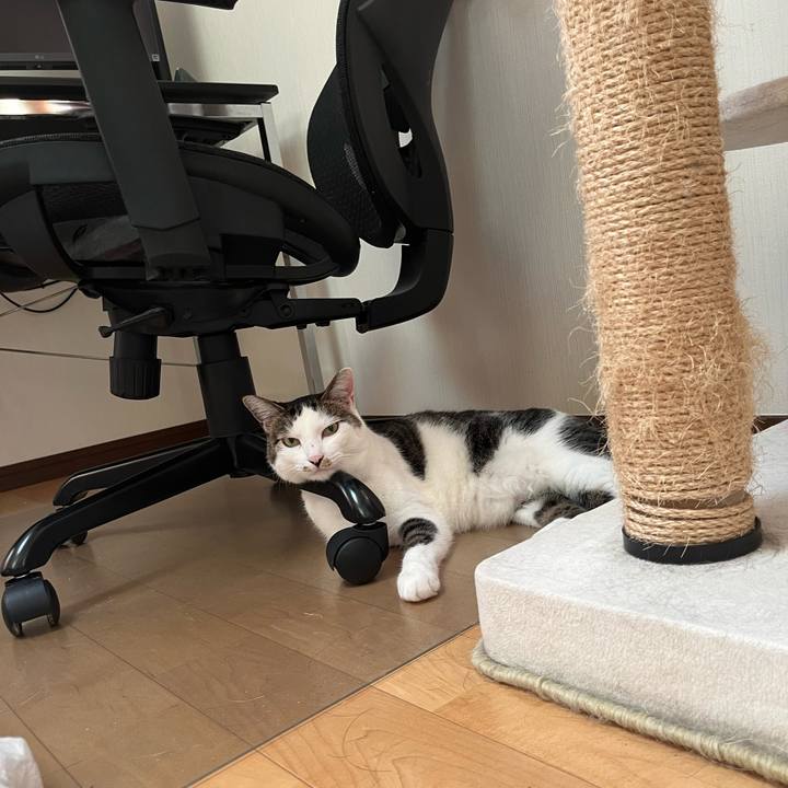 F57c8430 fcc8 4a84 9f03 b5f38b9baf85 1690067152826