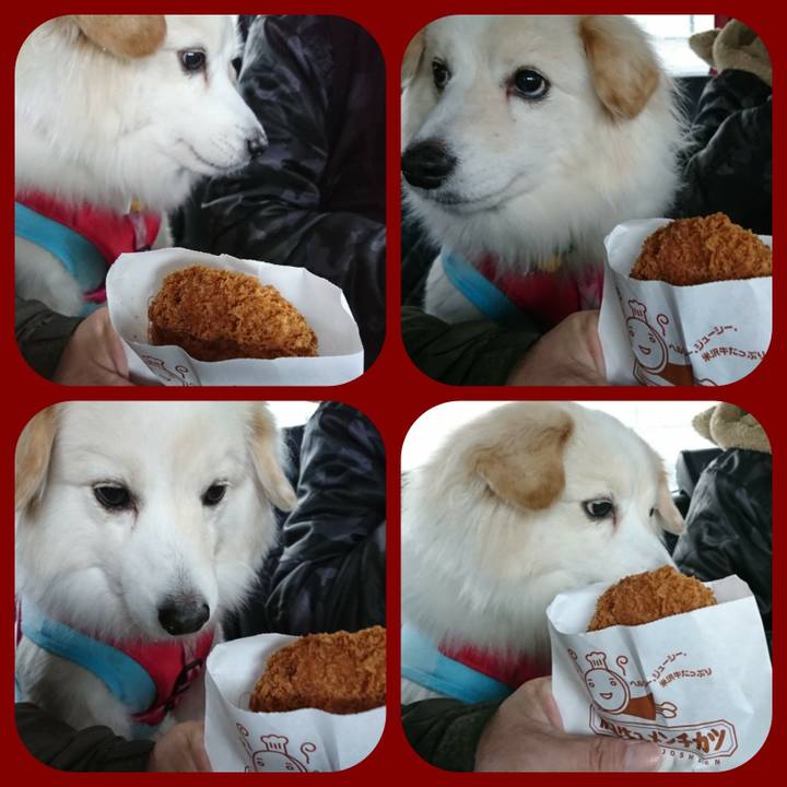 F57c8769 20df 45e2 a1c8 69a1ca522630 1518387683292