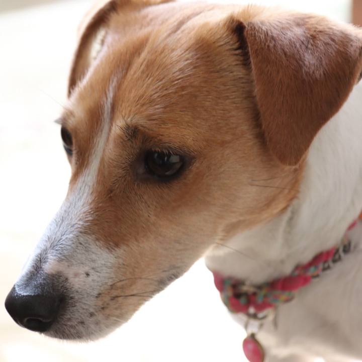 F57c8daa 2ecb 4bbe ba51 61692684d07e 1522923084037