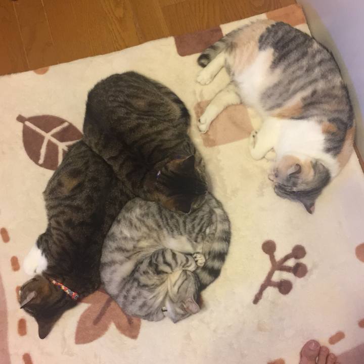 F57cae1a 737b 447e b793 c3fcfad3a53c 1559292939064