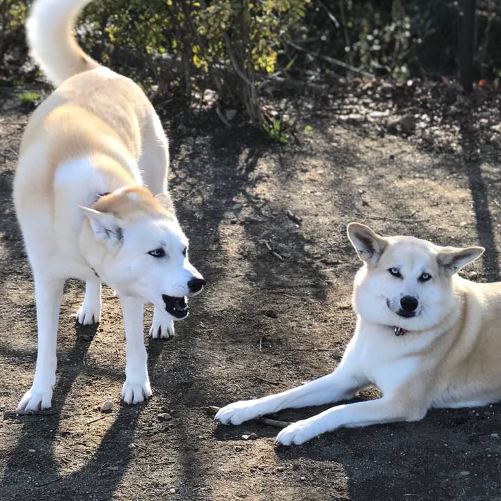 F57cb09c 6184 4950 9c66 f1765cd24d2a 1520666981460