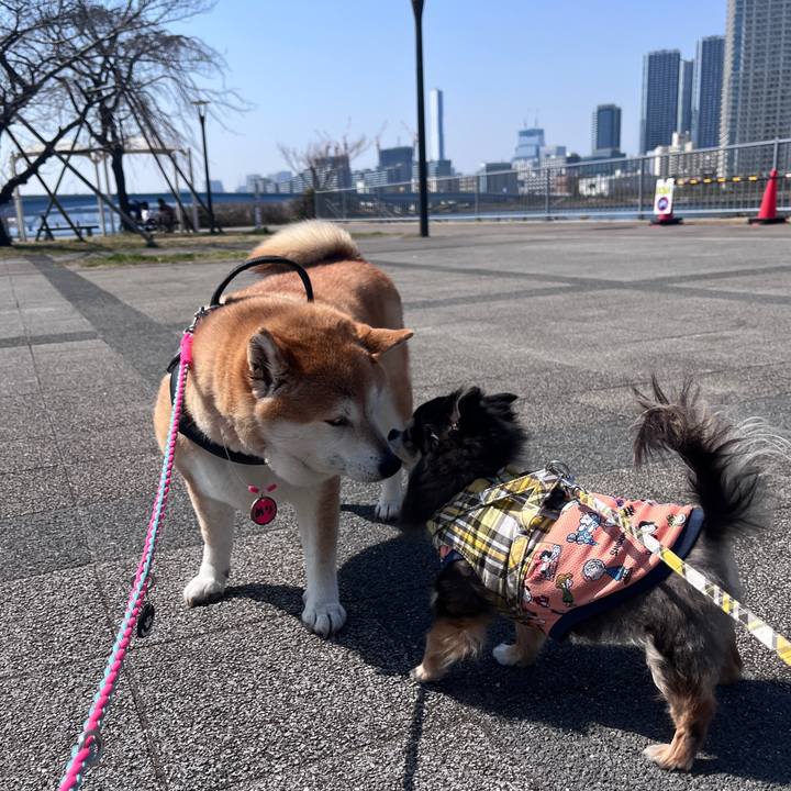 F57ceed9 99cc 432e 884a 2fda2d0ebd74 1710561179919