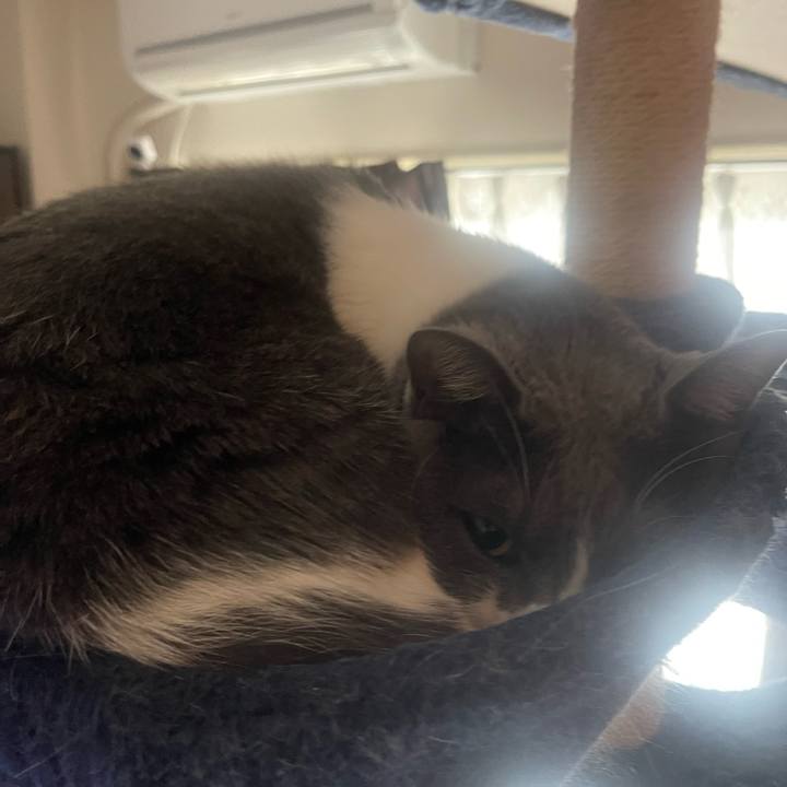 F57cf216 42e9 4f03 a140 32870410b01e 1711670209509