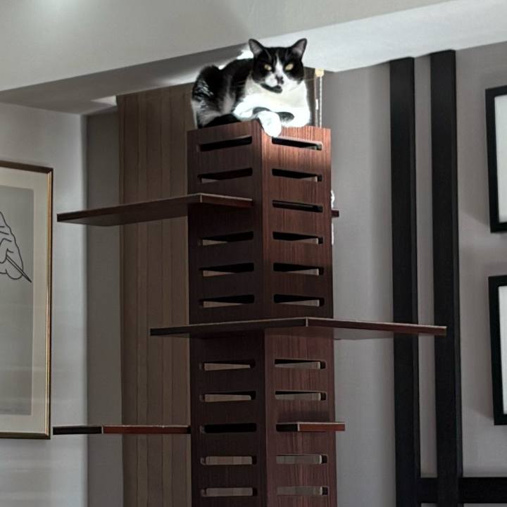 F57d0323 e065 4ec9 b508 98194e1e60e8 1768016144275