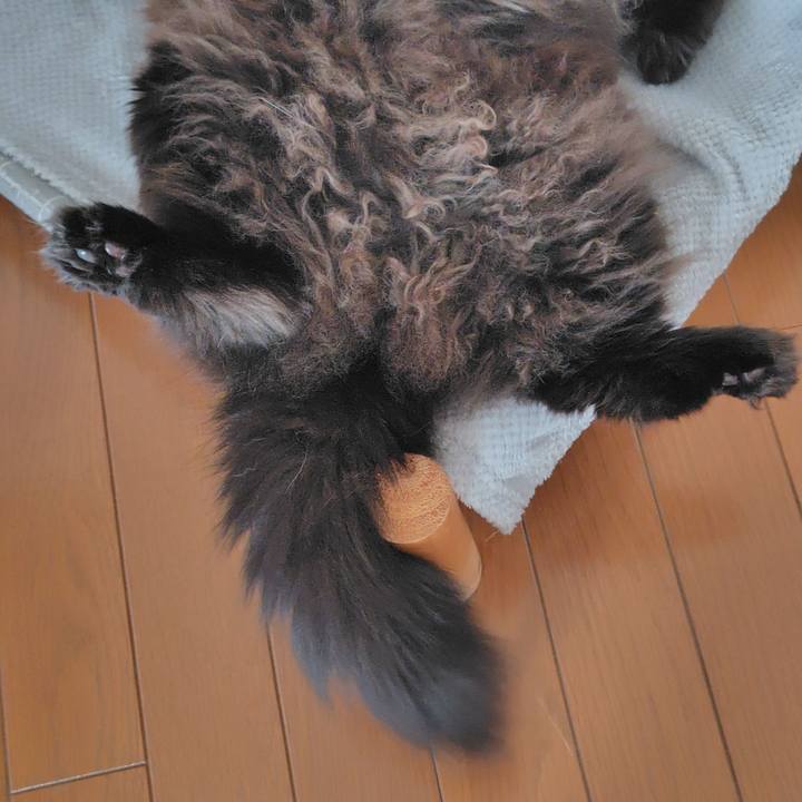 F57d111c 385b 498d a63d e7eb900a1a6c 1767309136726