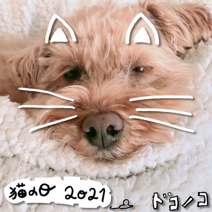 F57d1ffc 19b7 4085 953e f52add40b4d7 1613966288667