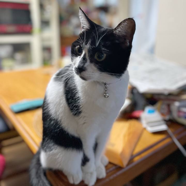 F57d3457 e5ec 447b a36c 98763d248db7 1765320714392