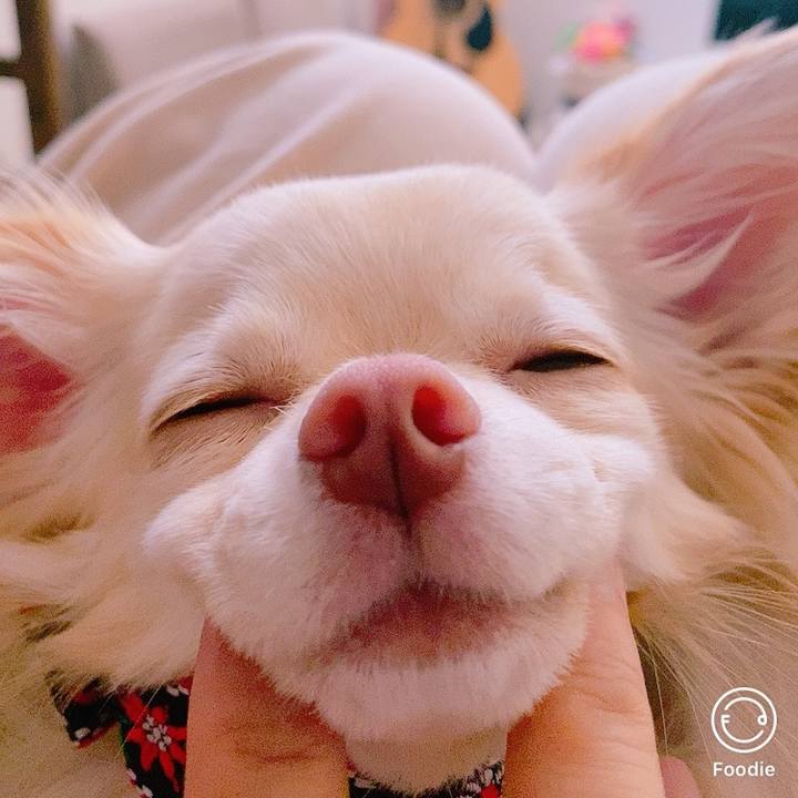 F57d4298 6b47 47c8 9d01 177c2ffe2e66 1627473156894