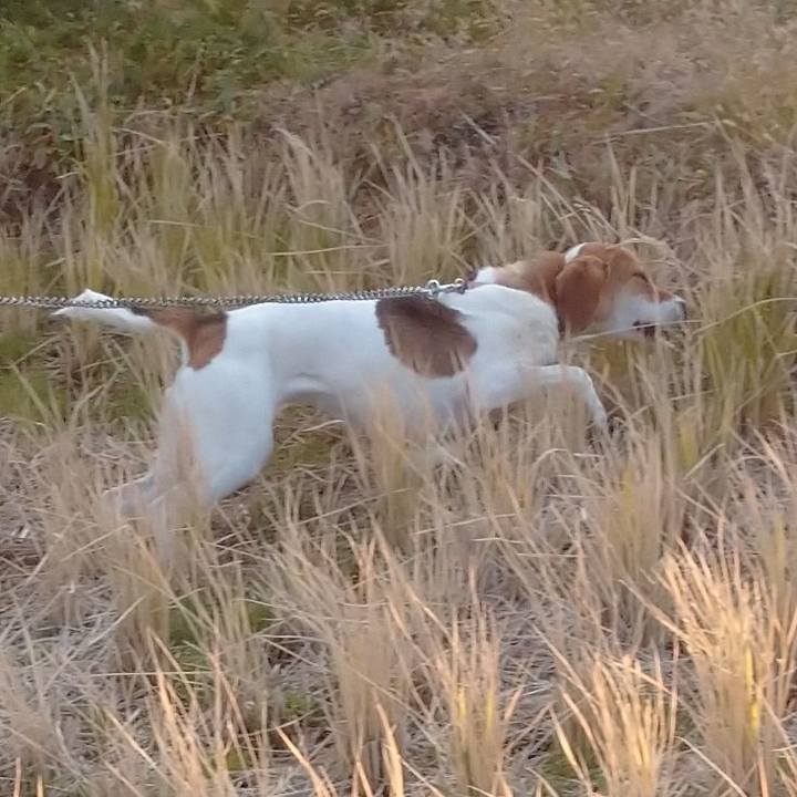 F57d76dc 09ed 49a9 a117 b618307db38c 1577527040053