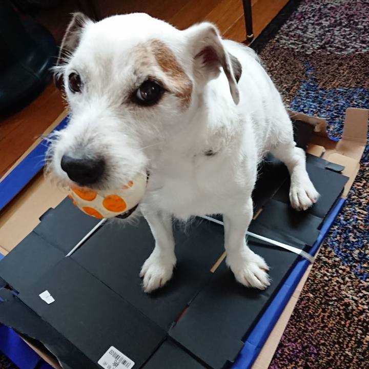 F57d8034 da06 4f3e bacc 1fef27302809 1531871683582