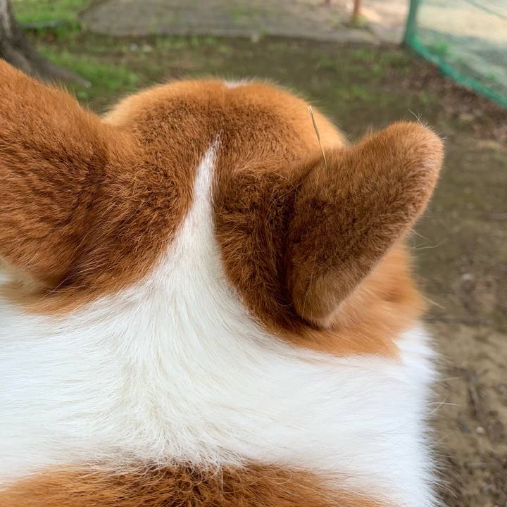 F57d960a d4ab 46a7 8d2e e1248a39985a 1622601755676