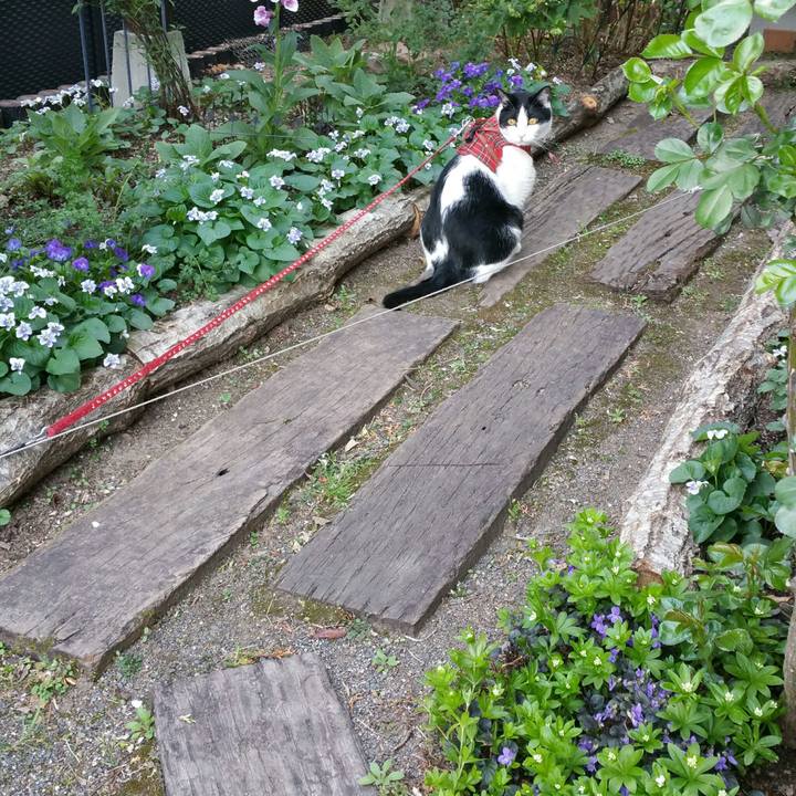 F57db788 a9f3 4010 8ec6 55ffc1dbf8c7 1524381762900