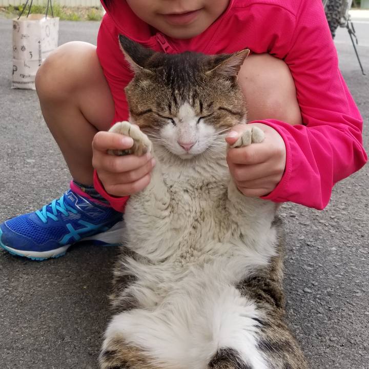 F57dd733 f3d3 4f80 908a ae8d27555e44 1591098971238