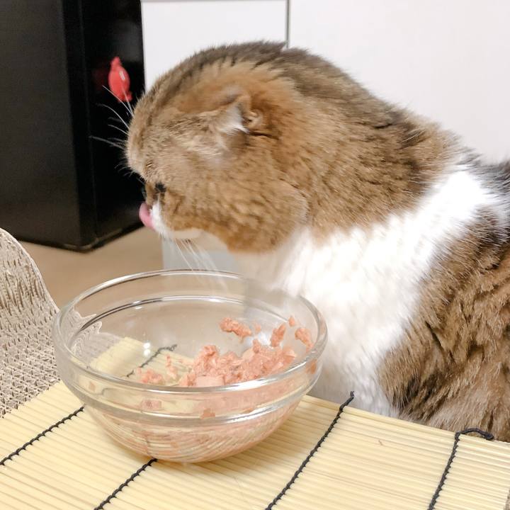 F57dda0c fc70 4594 8b61 c96c3790ba9c 1609493523998