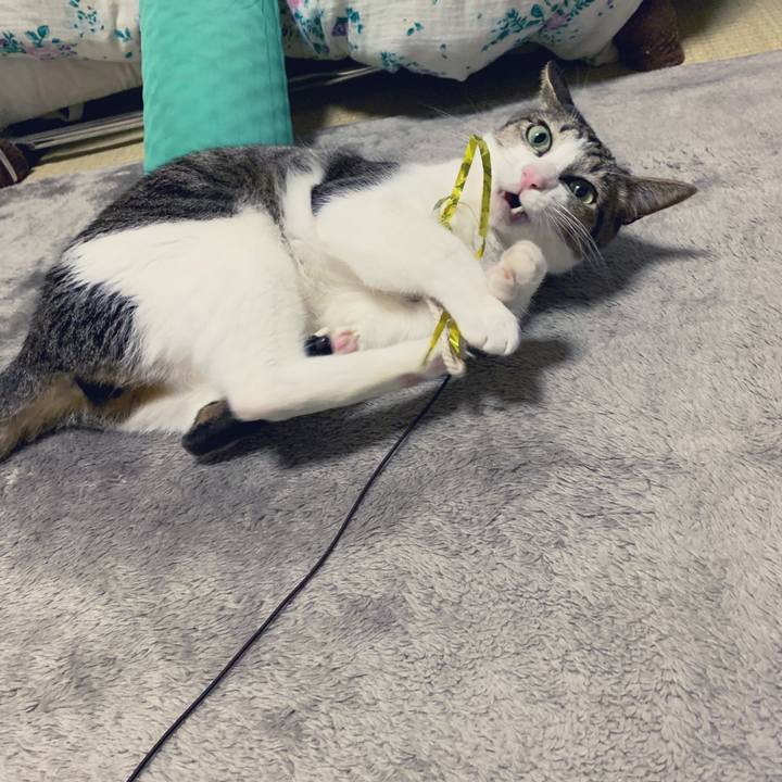 F57df9a1 18ca 493f 8923 528fb5a9fc53 1547557543387