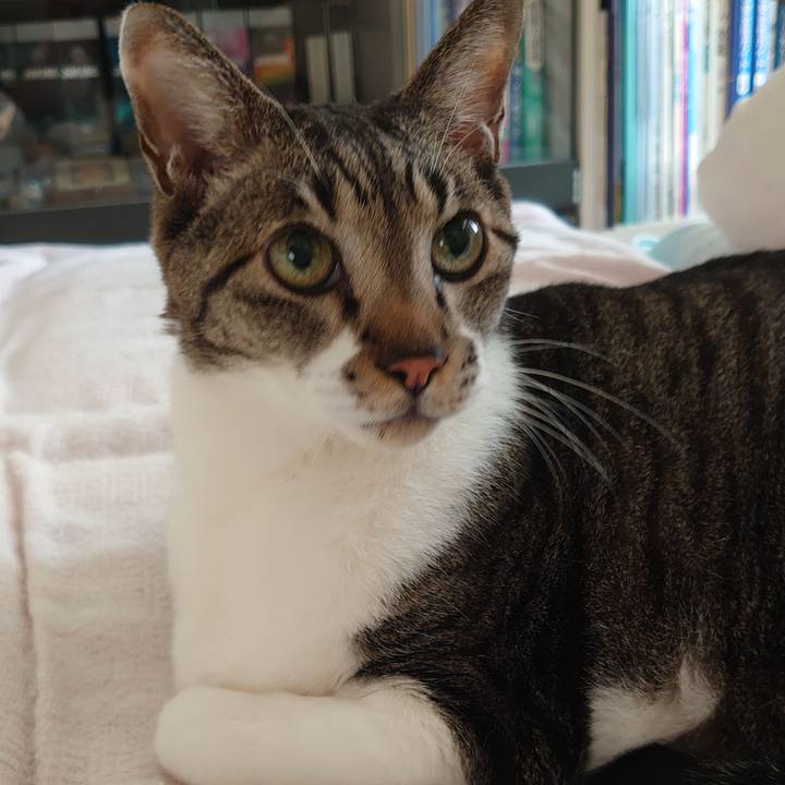 F57e5401 3983 4eb8 b5d6 1432c28740e3 1733613650672