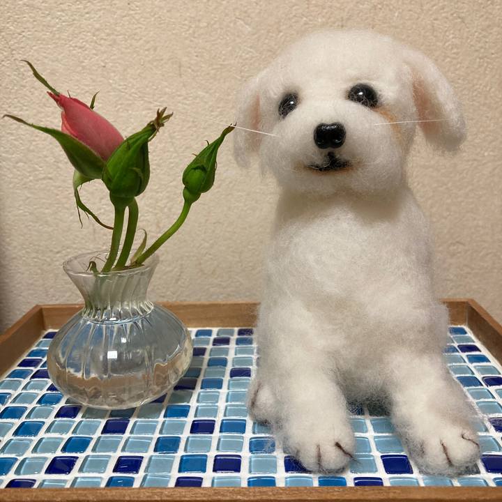 F57e56c6 9284 4fae 873b 5188c8d7dc68 1681816734513