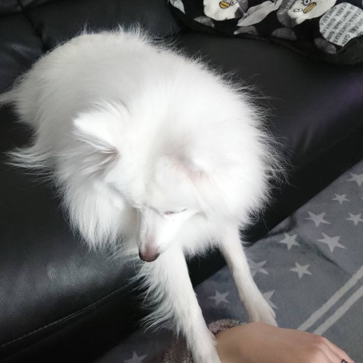 F57eb8e7 9076 4196 9ac8 670fffc2ed79 1581050648076