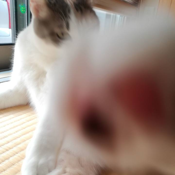 F57ee454 f665 4443 9fc0 110d8a18d4e2 1522575287337