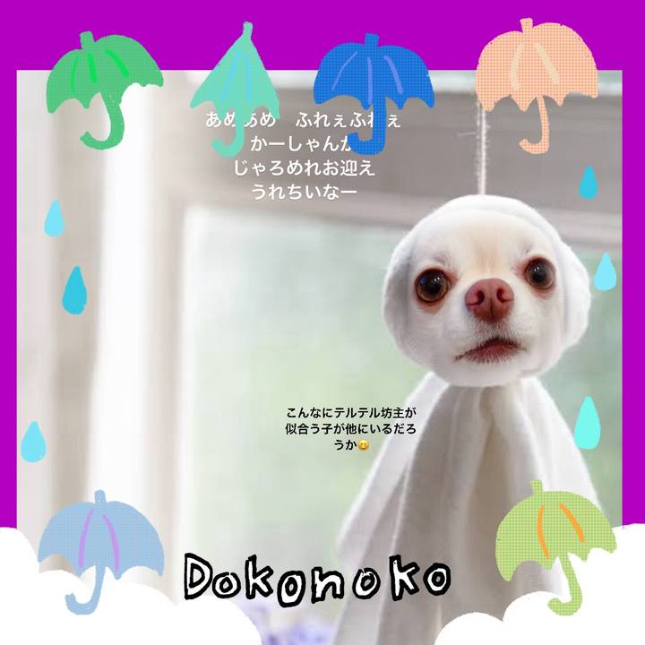 F57ef500 fe3f 42cc 9ac1 793eb5a7c229 1717629508961